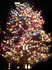 IMGP0078s.jpg