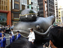 IMGP0133s.jpg