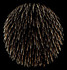 IMGP0175bs.jpg
