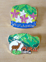 IMGP0545s.jpg