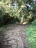 IMGP0584s.jpg