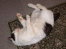 sIMGP0711.jpg