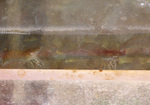 IMGP0198s.jpg