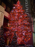 IMGP0388s.jpg