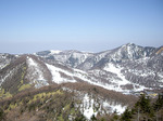 IMGP0437s.jpg
