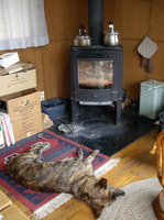 IMGP0487s.jpg