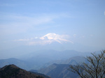 IMGP0536s.jpg