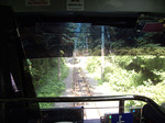 IMGP0575s.jpg