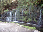 IMGP0579s.jpg