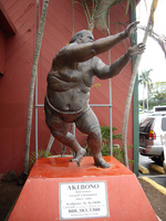 IMGP0893s.jpg