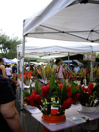 IMGP0928s.jpg