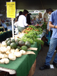 IMGP0932s.jpg