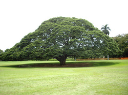 IMGP0949s.jpg