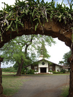 IMGP0983s.jpg