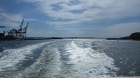 IMGP1412s.jpg