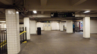 IMGP1439s.jpg