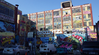 IMGP1448s.jpg