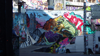 IMGP1454s.jpg