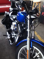 IMG_0210s.jpg