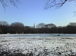 Image003s.jpg