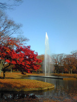 Image011s.jpg