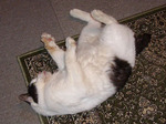 sIMGP0711.jpg